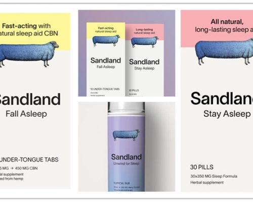 4 Sleep Essentials to Ensure the Best Quality Sleep